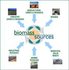 There Are Many Different Sources On Biomass Biomass Is Material For Dead Plants And Its Dec Biomass Energy Renewable Energy Systems Renewable Energy Resources