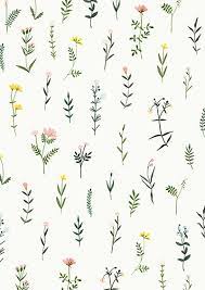 Maybe you would like to learn more about one of these? Wildflower Clipart Watercolor Floral Botanical Hand Drawn Png Flowers Clip Art Seamless Illustrations Plant Flower Sprig Wedding Floral Flower Drawing Flower Illustration Flower Backgrounds