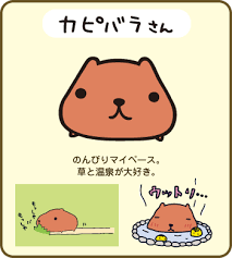 Kapibara San Kawaii Cute Anime