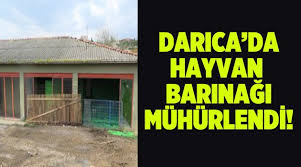 Darica Da Bir Hayvan Barinagi Muhurlendi Gundem Www Kulishaber Com Tr Kulis Haber Gebze Haber