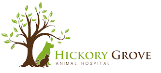 Johnson trish dvm (1 meter), independence veterinary clinic (2 km), veterinary housecalls (4 km), noda to have a better view of the location compassionate care veterinary hospital of charlotte, pay attention to the streets that are located. Hickory Grove Animal Hospital Veterinarian Charlotte Matthews Indian Trail