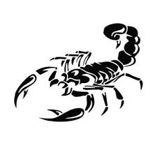It can sometimes lead to sever problems with the brain, spinal cord, and nerves. Menakjubkan 30 Gambar Keren Untuk Stiker Oem Stiker Scorpion Big Car Hood Decal Stiker Kap Mesin Mobil Downl Cross Drawing Car Decals Black Phone Wallpaper