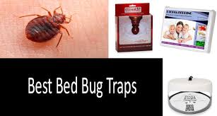 top 5 best bed bug traps updated 2020
