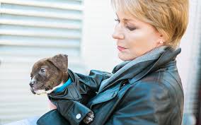An adoption counselor will work with you to help match you with an appropriate pet. Animal Control