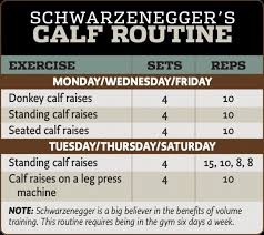 Arnold Schwarzenegger Calf Routine Calf Exercises Arnold