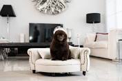 We did not find results for: Dixie S Boutique Beds