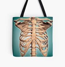 Maybe you would like to learn more about one of these? Conceptual Image Of Human Rib Cage And Spinal Cord With Skull Tote Bag By Stocktrekimages Redbubble