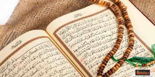 ما معنى قوله تعالى وجعلنا من الماء كل شيء حي أمة واحدة