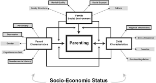 And definitely a cup (or pot) of seattle's best c Parenting In Context Revisiting Belsky S Classic Process Of Parenting Model In Early Childhood Sciencedirect
