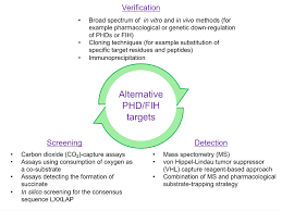 The best carbon monoxide detector units also tend to include smoke detector capabilities. Overview Of Different Techniques And Methods To Screen Detect And Download Scientific Diagram