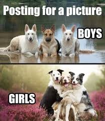 27 Funny Animal Memes To Make You Laugh Till You Drop 9 Funny Animal Jokes Funny Animal Memes Animal Jokes