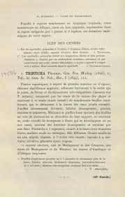 Image result for Inversodicraea