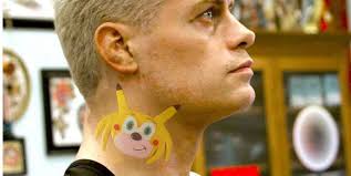 ROYAL RUMBLE KICKOFF SPOILERS] Cody Rhodes reads a fan's sign :  r/SquaredCircle