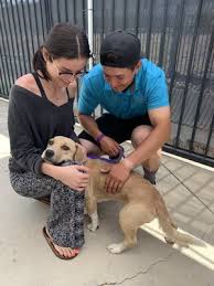You can revoke your consent to receive emails at any time by using the safeunsubscribe® link, found at the bottom of every email. Inland Valley Humane Society 551 Photos 647 Reviews Animal Shelters 500 Humane Way Pomona Ca Phone Number