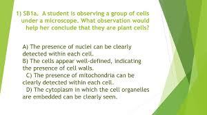 Maybe you would like to learn more about one of these? 1 Sb1a A Student Is Observing A Group Of Cells Under A Microscope Ppt Download