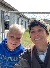 Shelter dogs get sunshine and grass