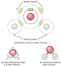 Polar protic vs polar aprotic vs nonpolar: Polar And Non Polar Molecules Vce Chemistry