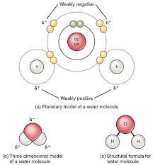 Submit answer retry entire gr. Polar And Non Polar Molecules Vce Chemistry