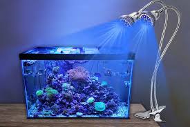 China 2019 New Arrival Dimming Led Aquarium Lights For Fish And Coral Reef China Led Aquarium Light Aquarium Light Led