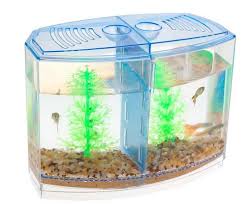 Acrylic accessories in betta fish bowl? Senzeal Aquariums Fish Bowls Best Double Betta Fish