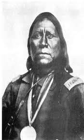 The War to Save the Buffalo