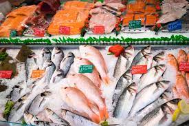 Ikan Air Tawar Dan Ikan Laut Mana Yang Lebih Kaya Kandungan Gizinya