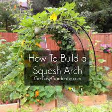 How to build a squash arch. How To Build A Squash Arch Plants Garden Vines Raised Garden