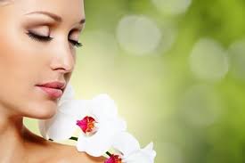 Massage centers, massage therapy, massage spa, body massages, masseuse and more in ash, nc. 3 5 Hour Ash Me Tender Volcanic Spa And Massage From Port Vila 2021 Vanuatu