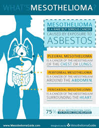 What Is Mesothelioma The Basics About Malignant Mesothelioma Mesothelioma Cancer Mesothelioma Awareness