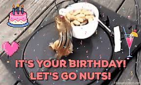Maybe you would like to learn more about one of these? Weird Birthday Gifs Get The Best Gif On Giphy