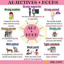 300 Useful Adjective Noun Combinations From A Z 7 E S L Nouns And Adjectives English Vocabulary Words Advanced English Vocabulary