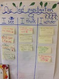 Our Kindergarten Journey Celebrating Our Think Work Inquiry Based Learning Kindergarten Science Fall Kindergarten