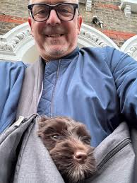 Australian Labradoodles for a specific look