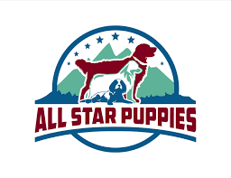 Tropical white sand beach with the sound of soothing ocean waves for sleeping or relaxation enjoy! All Star Puppies Healthy Happy Pups Available Nation Wide All Star Puppies