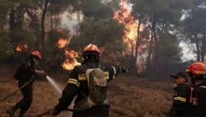 Ειδήσεις απο όλη την ελλάδα κ τον κόσμο , έχοντας lifestyle gossip music , αλλά κ προσφορές καταστημάτων. 8essalonikh Fwtia Sthn Eykarpia Kindynepsan Spitia Logw Twn Anemwn Fwto Vid Epikairo