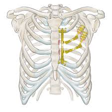 Maybe you would like to learn more about one of these? Reconstruction Stratos Medxpert