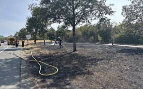 Photo Saint-Hippolyte : Actualités et info en direct - Sud Ouest