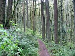 Powell butte nature park hiking. Portland Parks Rec On Twitter Today The Mayor Extended The Temporary Closure Of 20 Natural Areas And Trails Including Forest Park And Powell Butte Nature Park Through 10 8 2020 Unless He Modifies