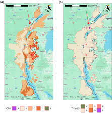 Image result for Pentadesma reyndersii