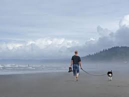 Check spelling or type a new query. 9 Dog Friendly Campgrounds Near Seattle Curbed Seattle