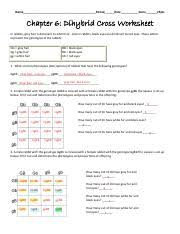 Transcribed image text from this question. Kami Export Noemi Perez Dihybrid Cross Wksht Pdf Name Period Date Score 25pts Chapter 6 Dihybrid Cross Worksheet In Rabbits Gray Hair Is Dominant Course Hero