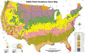 Zone 5 6 Gardening Tips Advice And Inspiration