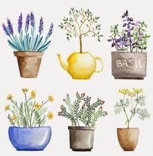 New Plants Painting Watercolor Easy Ideas Plant Painting Watercolor Herbs Watercolor Illustration
