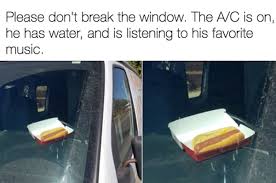 24 Memes You Should Send To Your Friend Who Likes To Eat