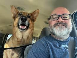 Do our GSD's look at K9 GSD's and think 'Oh crap, it's the cops'