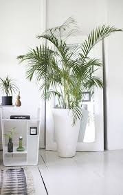 Hello Friday There S Just Time To Squeeze In One More Fabulous Home Tour This Week That Of Henriette Amlie Plant Decor Artificial Plants Decor Indoor Plants