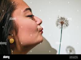 Lochhead hi-res stock photography and images