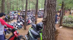 Disini, anda akan disuguhkan dengan latar belakang kampung pelangi yang sangat mengesankan. Wisata Baru Di Ajibarang Viral Hutan Pinus Sawangan Youtube