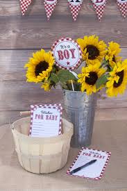 Baby Q Baby Shower Ideas Bbq Baby Shower Co Ed Baby Shower Baby Q Games And Activities Bbq Baby Shower Decorations Baby Q Shower Barbecue Baby Shower