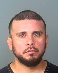 Nearly 20 new Manatee County Jail arrest mugshots